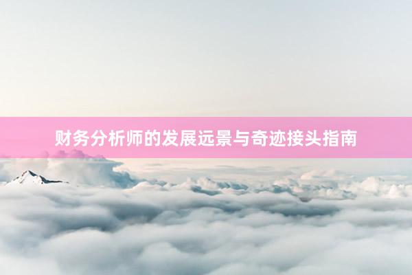 财务分析师的发展远景与奇迹接头指南